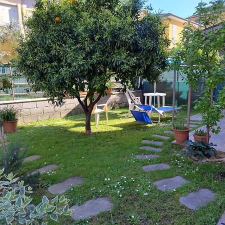 Bilocale Climatizzato A 850M Dalla Spiaggia Casa Katia 马里纳迪马萨 外观 照片
