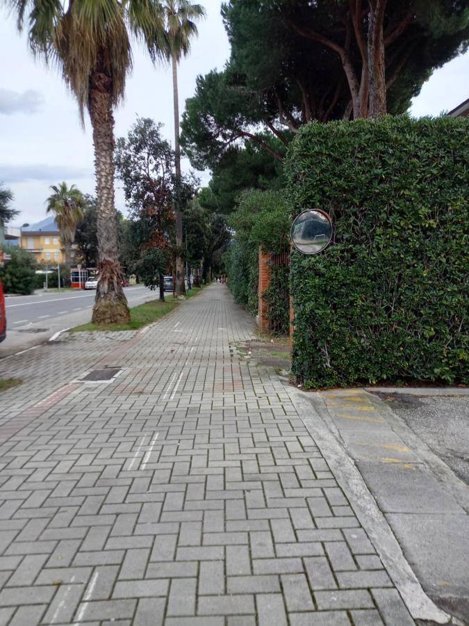 Bilocale Climatizzato A 850M Dalla Spiaggia Casa Katia 马里纳迪马萨 外观 照片