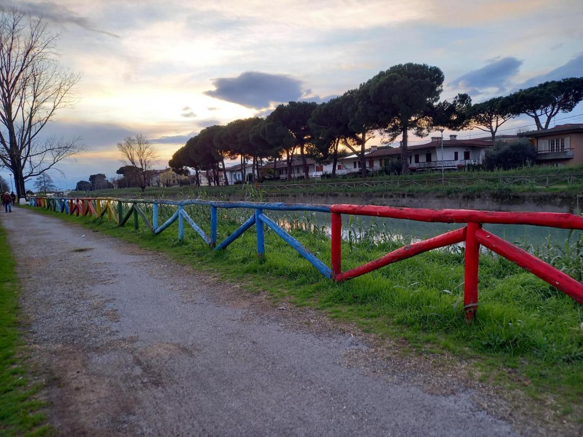 Bilocale Climatizzato A 850M Dalla Spiaggia Casa Katia 马里纳迪马萨 外观 照片