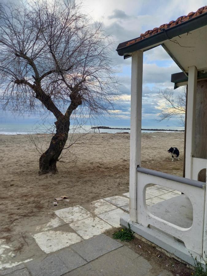Bilocale Climatizzato A 850M Dalla Spiaggia Casa Katia 马里纳迪马萨 外观 照片